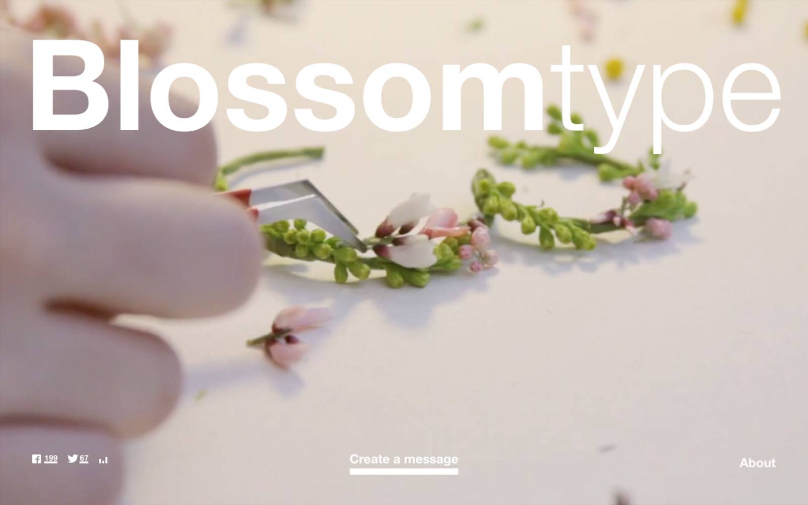 Blossomtype