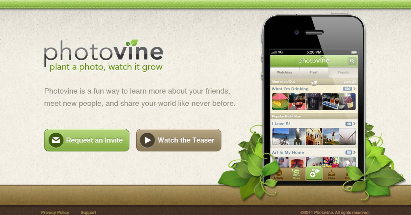 Photovine